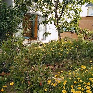 Double Room Garden View